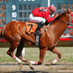 Horse Racing and Its Role in Promoting Sportsmanship