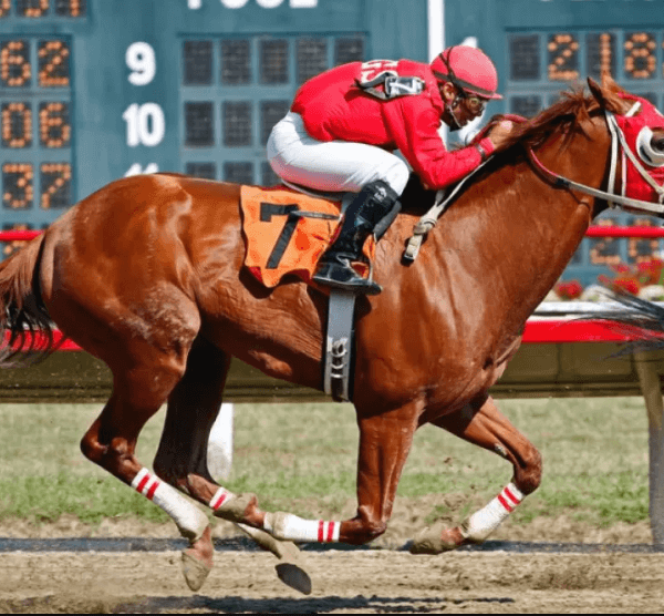 Horse Racing and Its Role in Promoting&hellip;