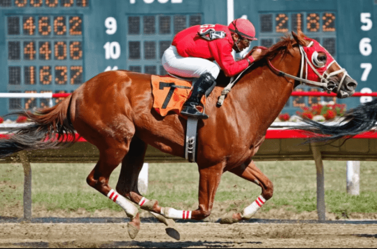Horse Racing and Its Role in Promoting Sportsmanship
