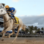 Horse Racing and Its Role in the Global Entertainment Industry