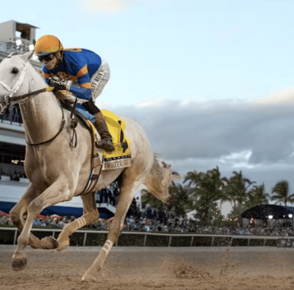 Horse Racing and Its Role in the&hellip;