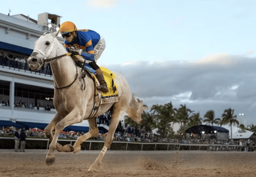 Horse Racing and Its Role in the Global Entertainment Industry
