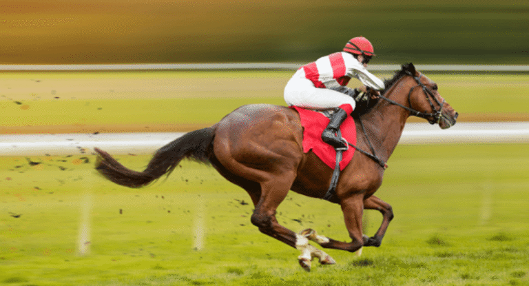 Horse Racing and Its Role in the Global Sports Industry
