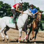 Horse Racing and Technology: Innovations That Changed the Sport