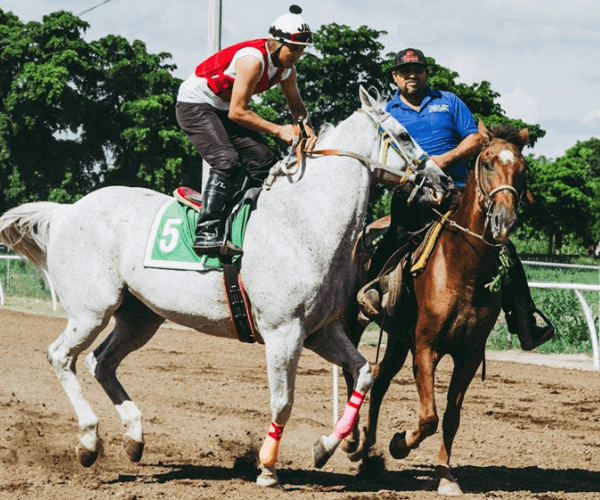 Horse Racing and Technology: Innovations That Changed&hellip;