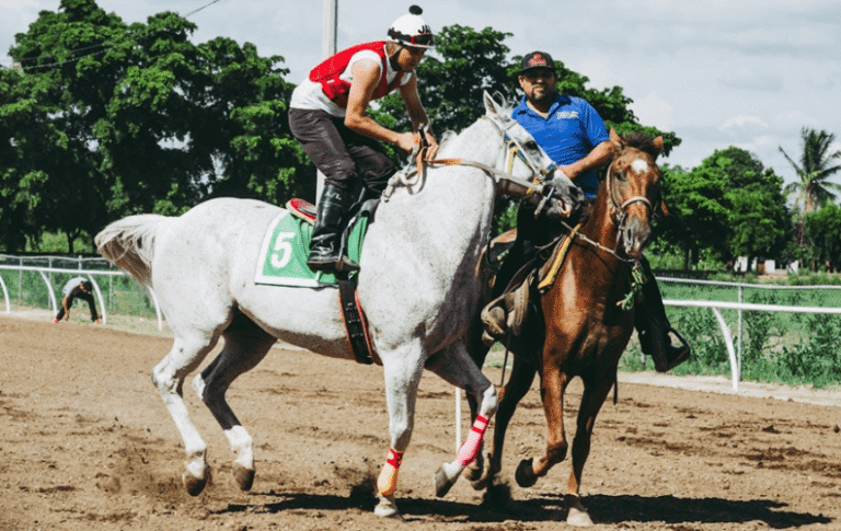 Horse Racing and Technology: Innovations That Changed the Sport