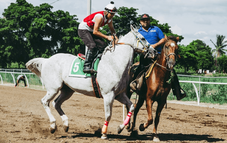 Horse Racing and Technology: Innovations That Changed the Sport