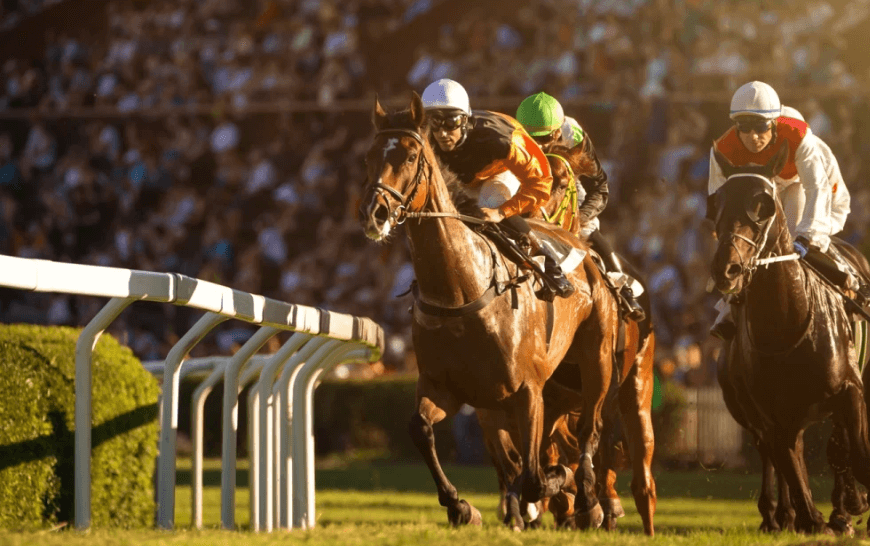 Horse Racing and the Art of Studying Horse Form